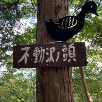 標識、ありがとう❣️