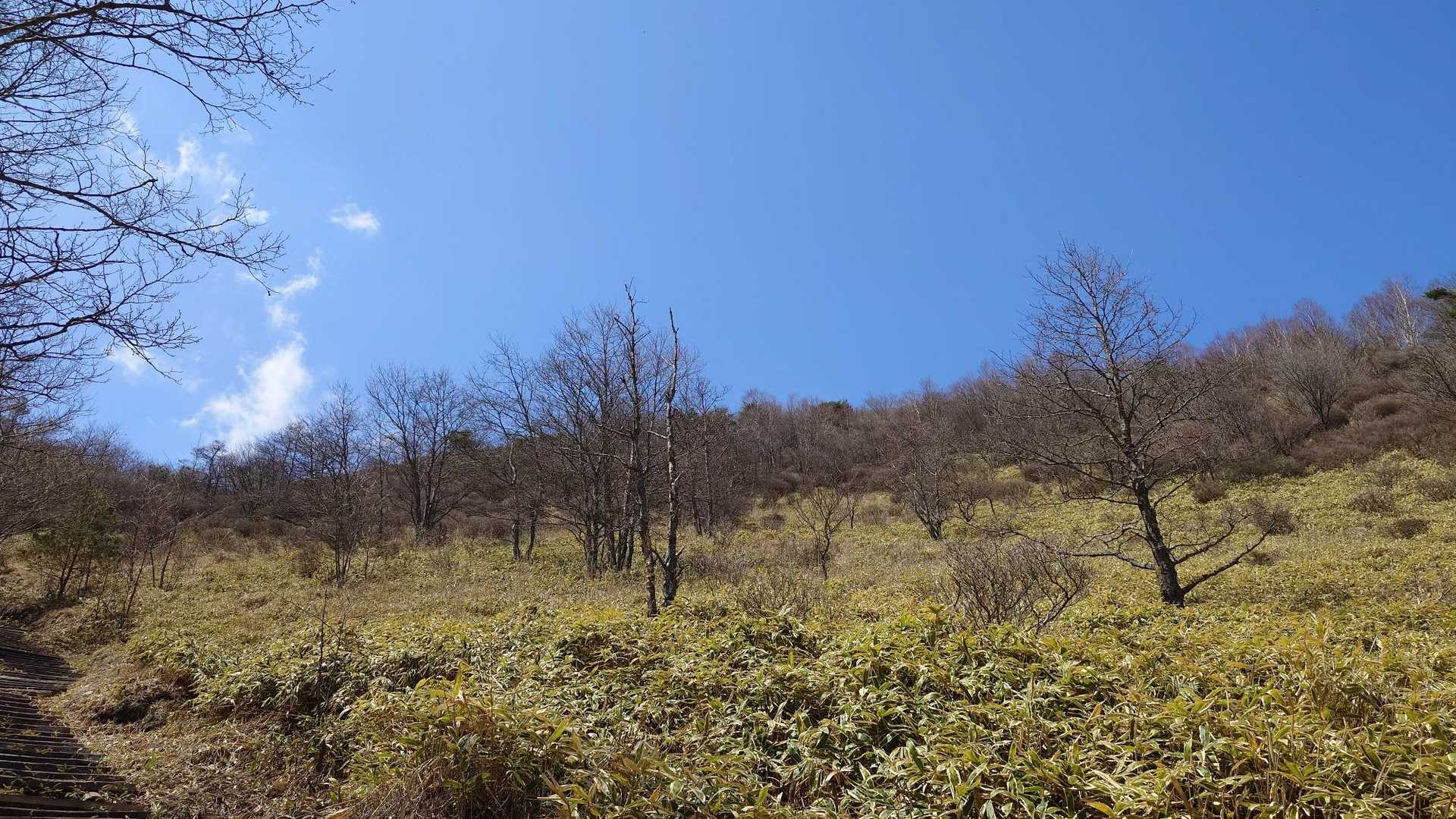 気持ちが良い山行でした
おつかれ山でした