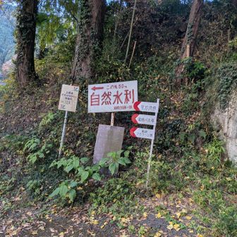 ここで尾次へは川へと下っていく。