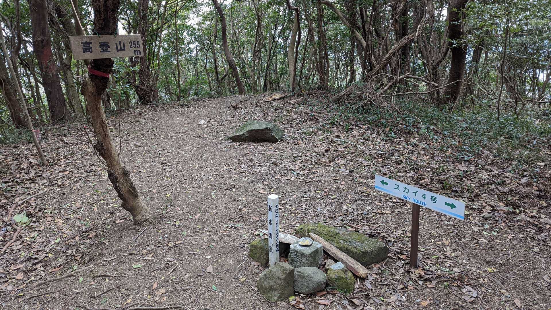 はい、ピークですよ👍