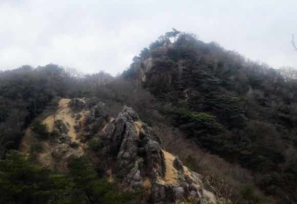 紅皿山の最新登山情報 / 人気の登山ルート、写真、天気など | YAMAP
