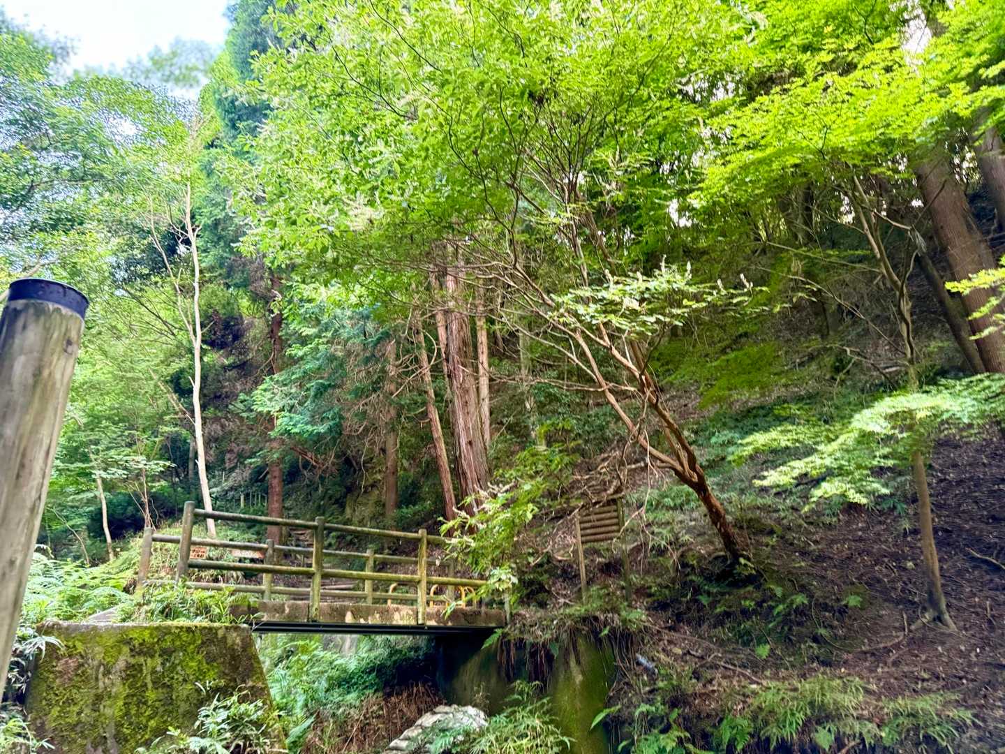 銀閣寺からの登山口