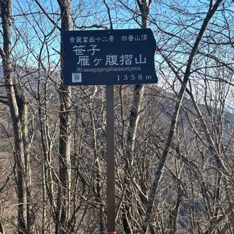 約 1時間40分で登頂🙌