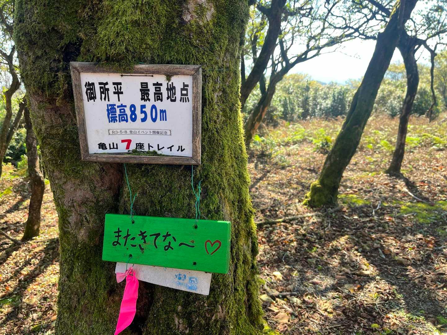 御所平最高地点。