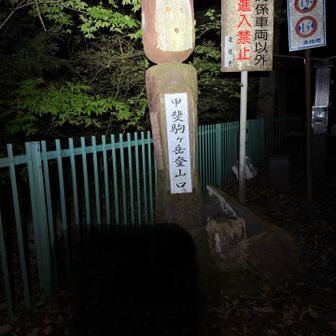 よく見るやつ