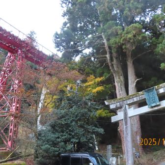 いつものとおりケーブル下バス停🚏からテクテク開始。