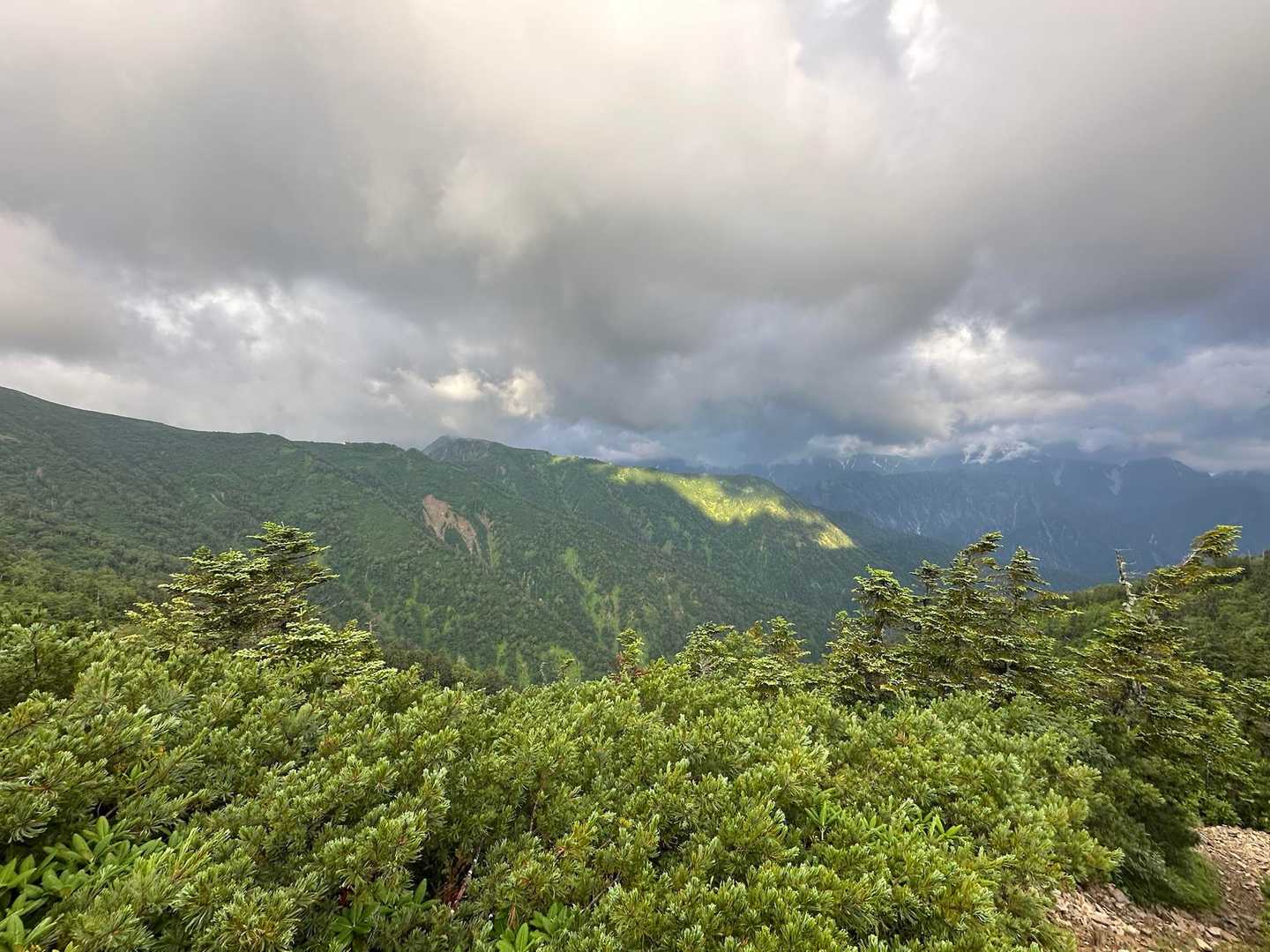 柏原新道登山口-爺ヶ岳 往復コースの写真
