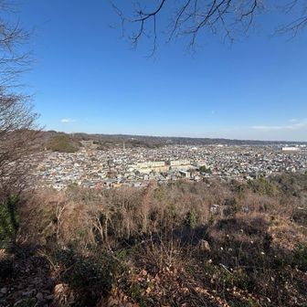 ここも街全体を見渡せる
近くの小学校、でかっ！　校庭広っ！