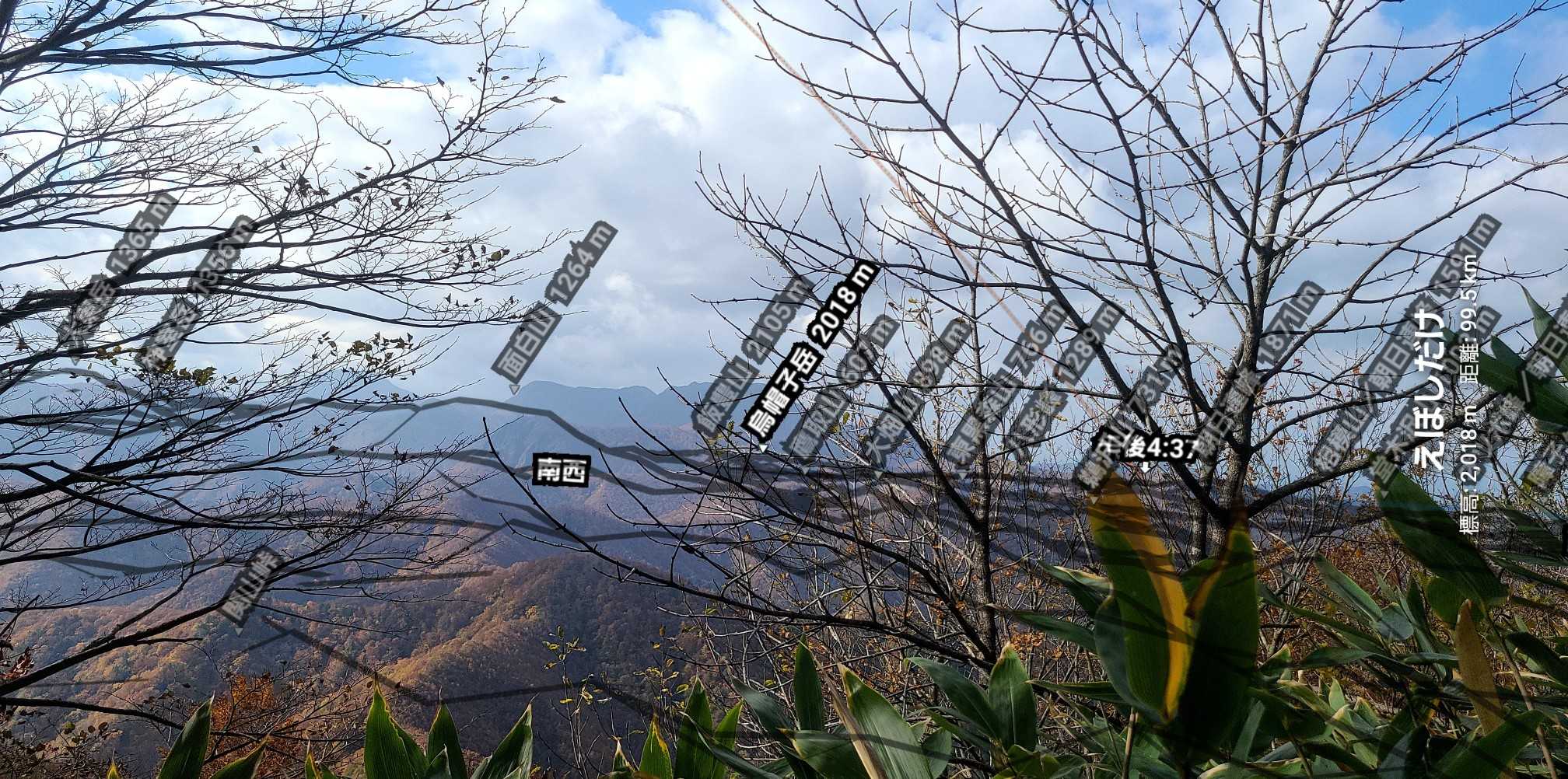 コブノ背-アオノ背-寒風山 往復コースの写真