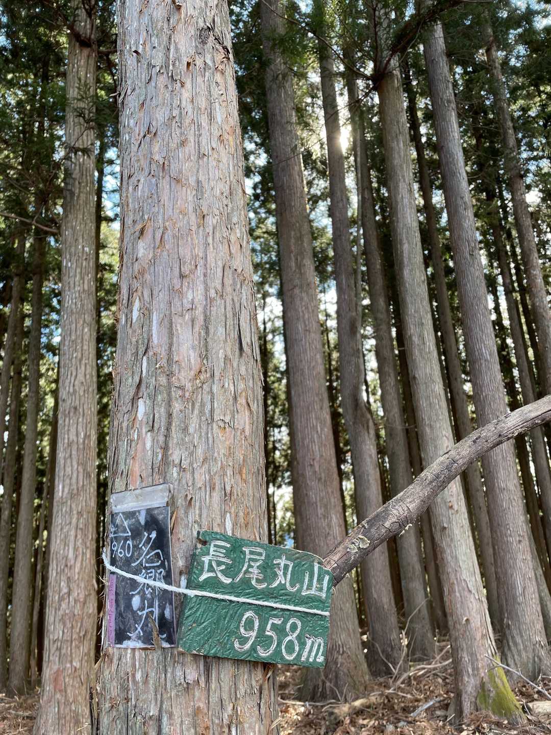 長尾丸山❓名郷丸❓名前が２つ🧐