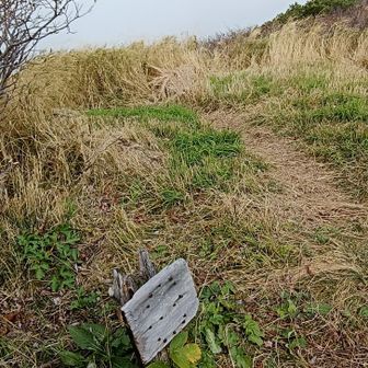 影火打の山頂でございます🙌何もないです
