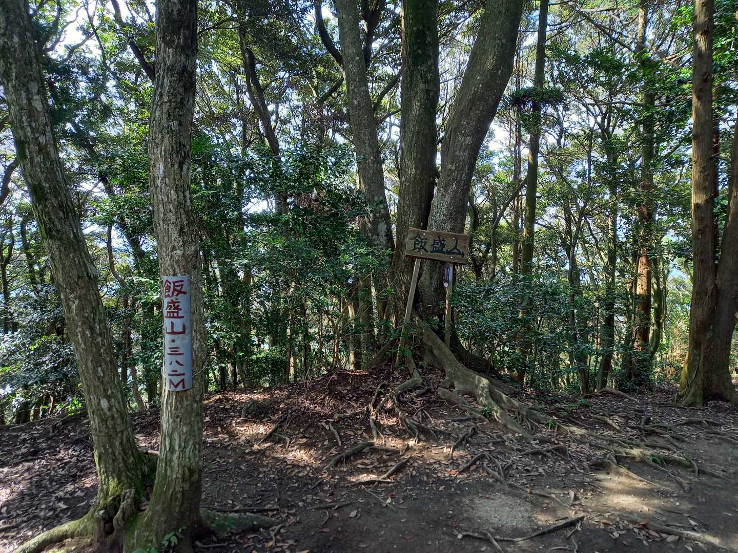 山頂ひとりでした。