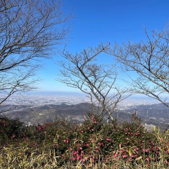 ここは賑やかです✨✨