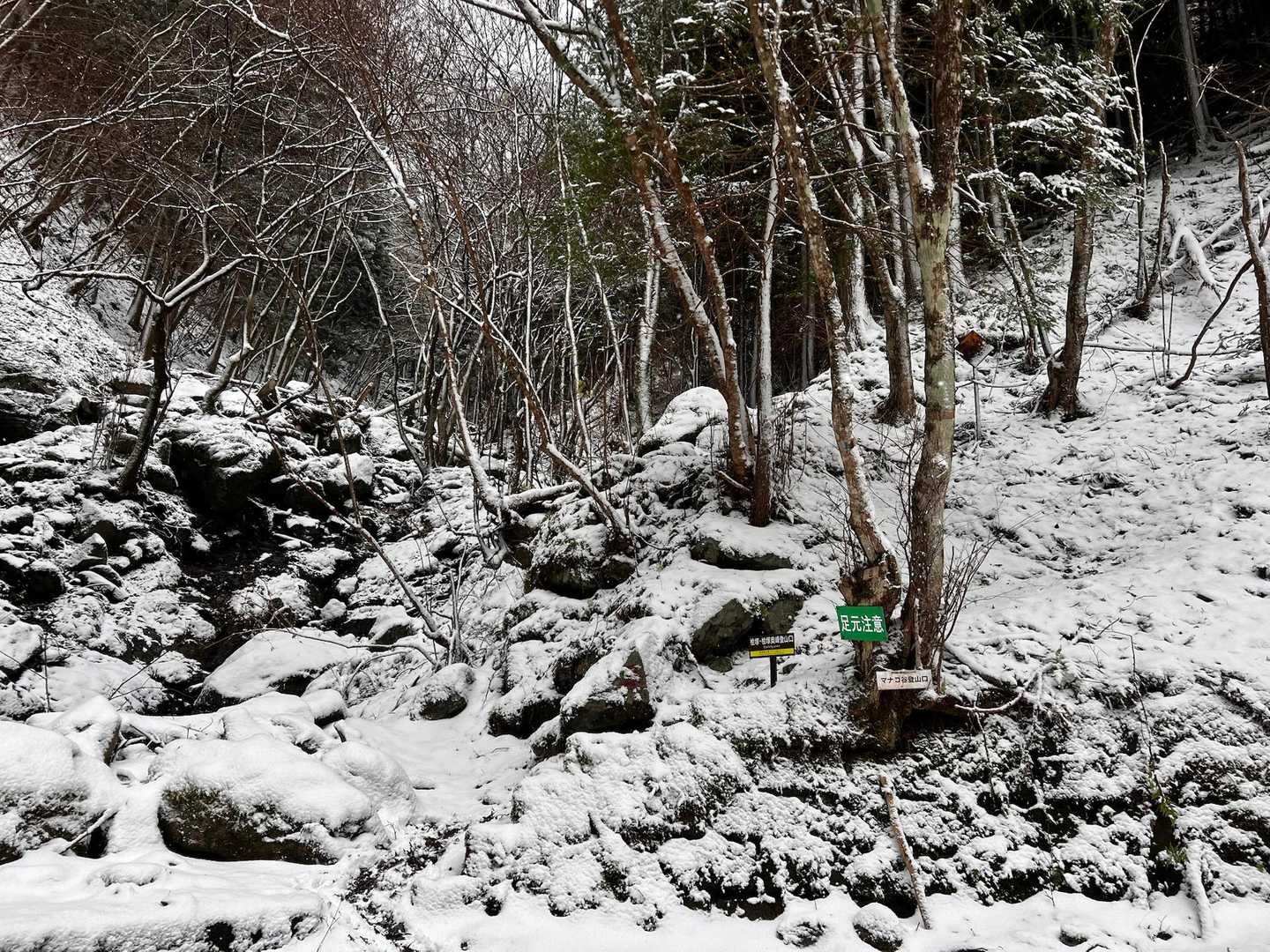 無事❗️吹雪の中から下山しました❗️
山友さん❗️お疲れ山でした❗️
吹雪いてましたが、最高な一日でした❗️😃👍
自然に感謝❗️
桧塚・桧塚奥峰に感謝❗️
有難う御座いました🙇
