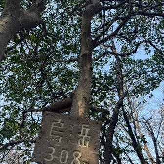 烏岳はグレーピーク、途中の道はちょっと荒れてたけど、迷わず行けました