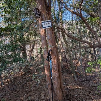 ５座目小笠峰ゲット👍眺望ナシ