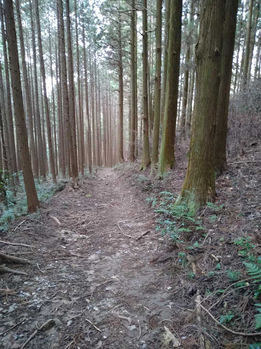ヒンヤリとした空気がたまらない！
