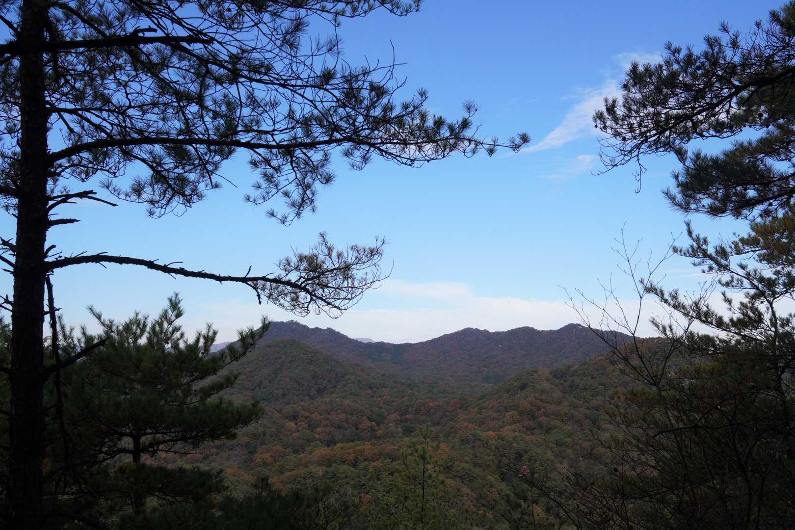 帆柱峠-帆柱山-中津岡山-奥滝山 周回コースの写真