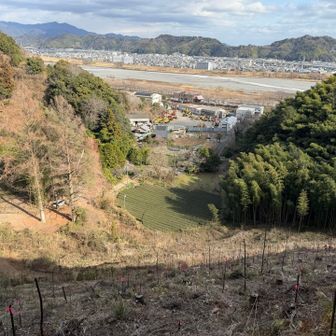 ゴール見えたー