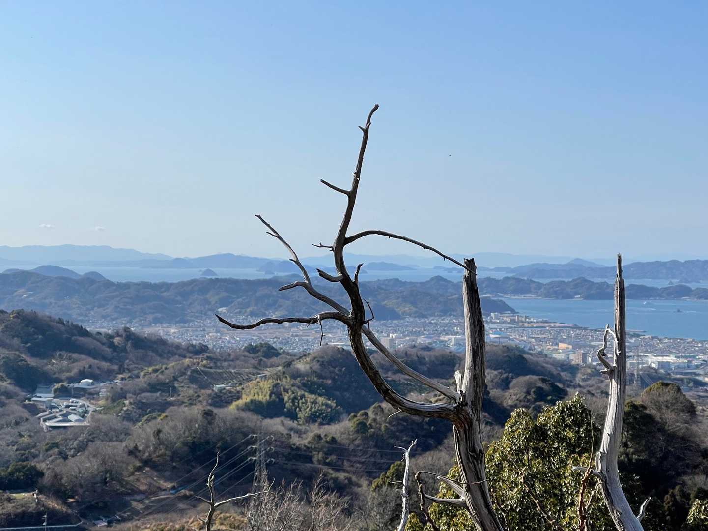 穏やかな冬の午後
