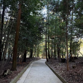登山口まであと少し