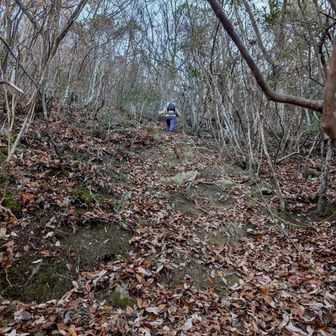 城ヶ岡へは急登！