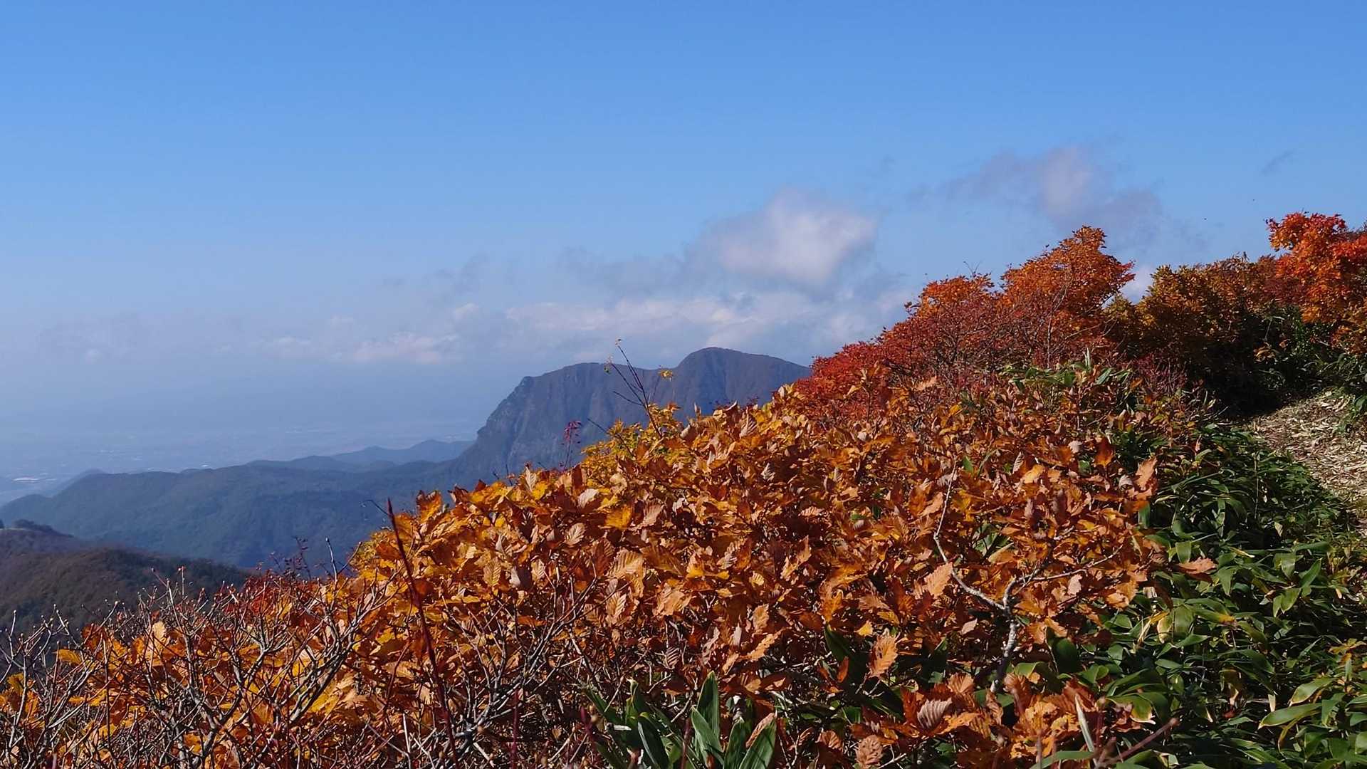 黒伏山