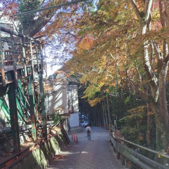 今日はいっしょに…