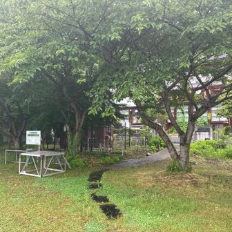 運動場です