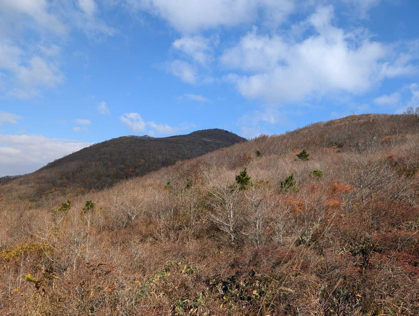 大将旗山