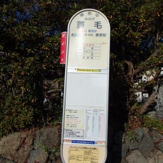 到着しました。が、バスがあと３０分後。秦野方面へ歩き、小蓑毛あたりで、知り合いの方が私に気づき、秦野駅まで送ってもらった。感謝！！^0^-