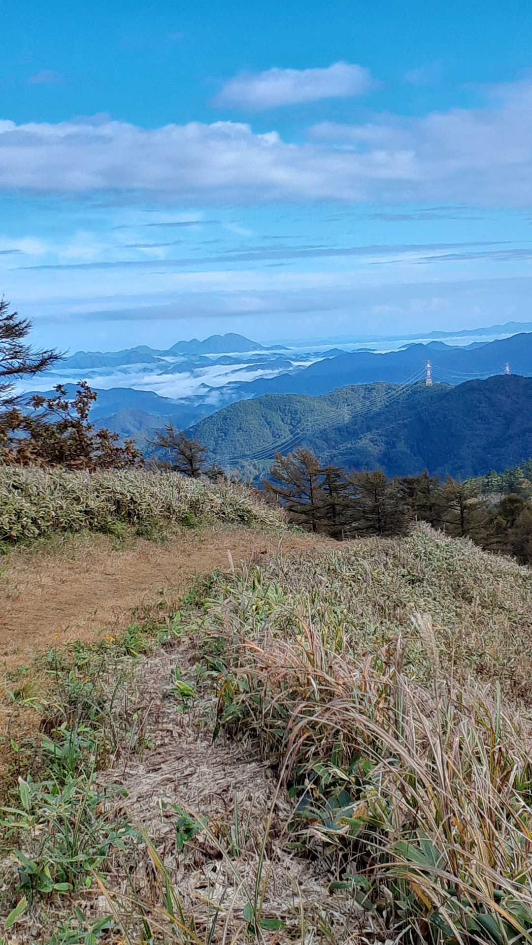 山陰方面に雲海