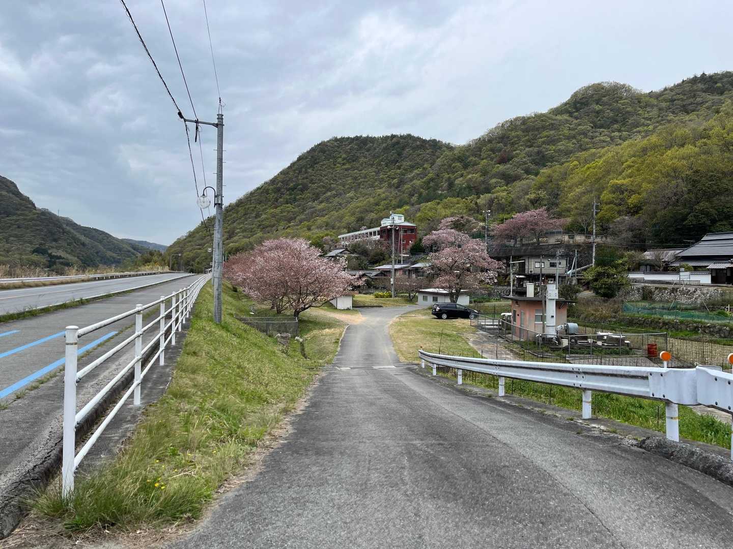 🅿️まで戻ってきました🚶‍♀️