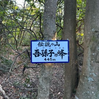 伝説の山　吾孫子の峰🤔