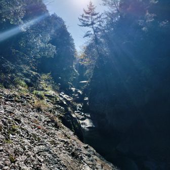 風がないせいで思いのほか暑かったです