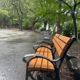 雨だから誰もいない。凛とした感じがいい。