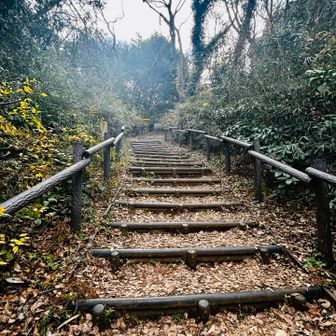 ここを上がれば大丸山