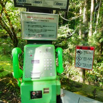 だぁりんくーしぇくしぇ