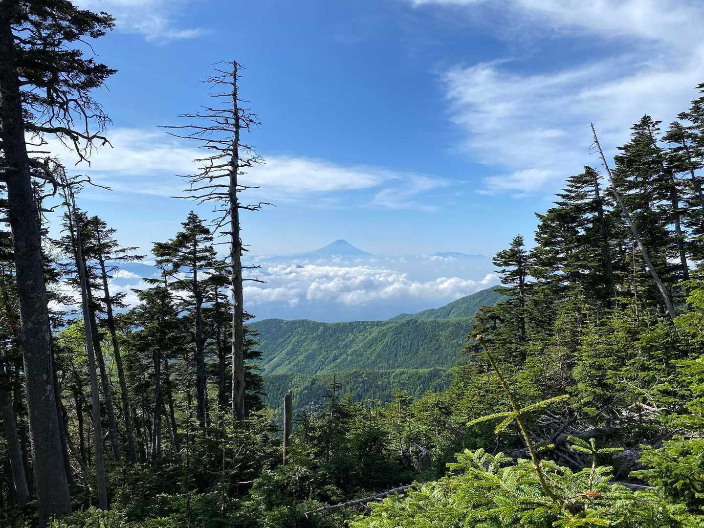 めちゃしんどいけど、たまに見える富士山に癒される🗻