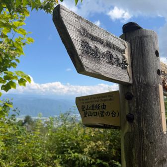 あと１時間歩けば終わりだ〜っ⤴︎