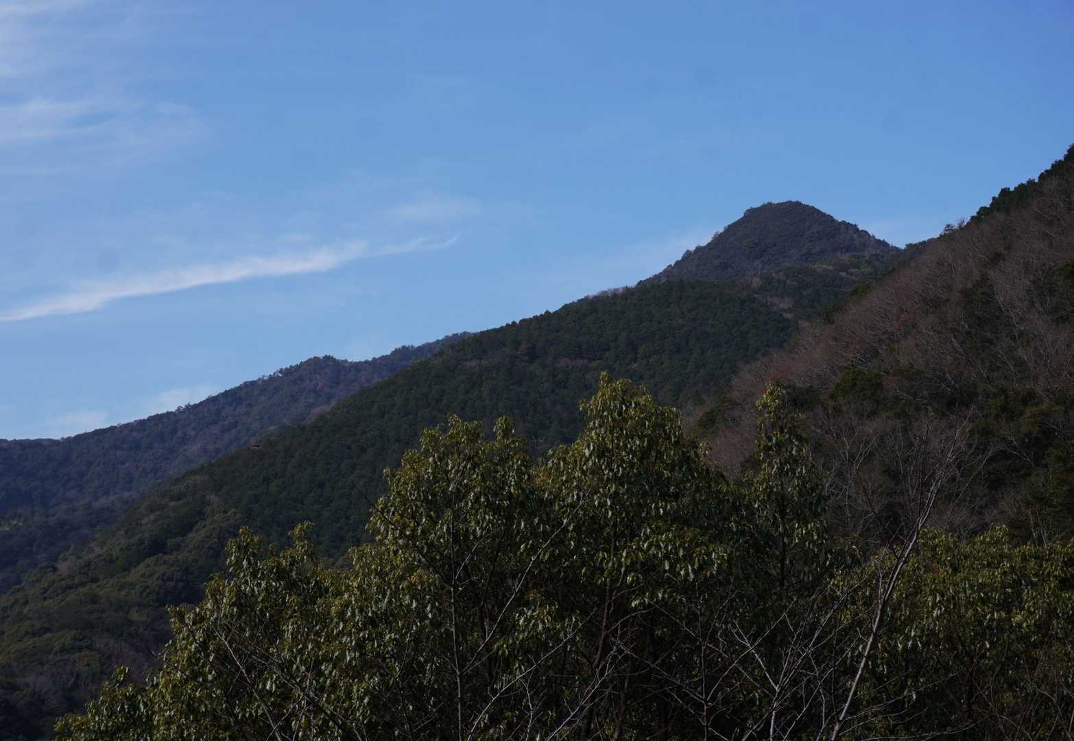 標高537.9mの飯盛山は、「中津富士」とも呼ばれる山で、登山道から日高川の絶景が楽しめた
