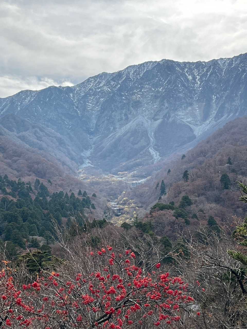 寂静山⛰山頂より