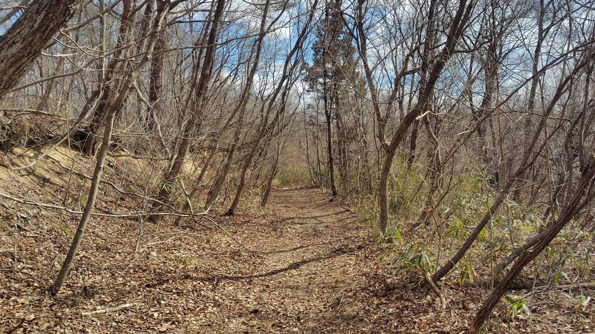 里山のフルコースを体験出来ました😊

また別の季節に訪れたいと思う“戸神山”でした。

ご覧いただきありがとうございました🙏
