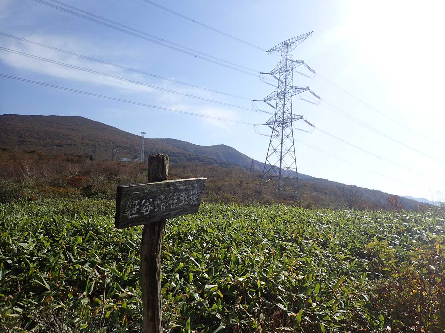 大関山-ハマグリ山-トンガリ山-山形神室岳 往復コースの写真