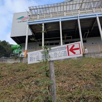 伊那リゾートスキー場。昨年は猿がいた🐒