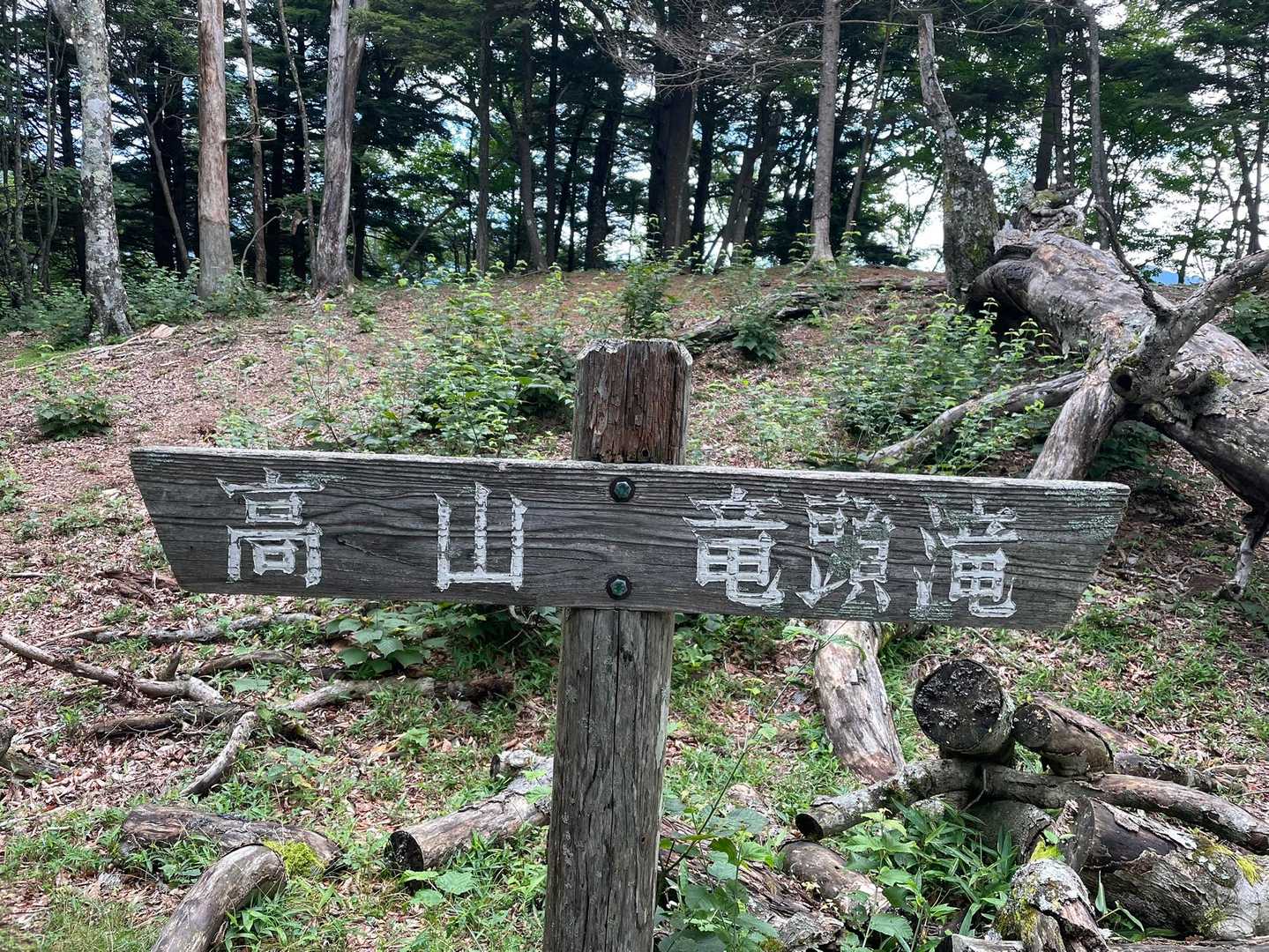高山 往復コースの写真