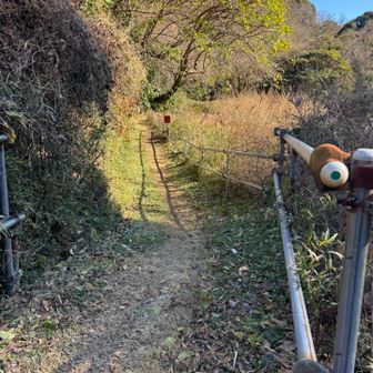交差点を渡って左手へ！歩道から登山口の標識が見える