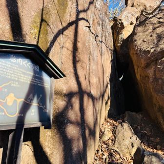 今日は少しだけ潜って、戻ります。