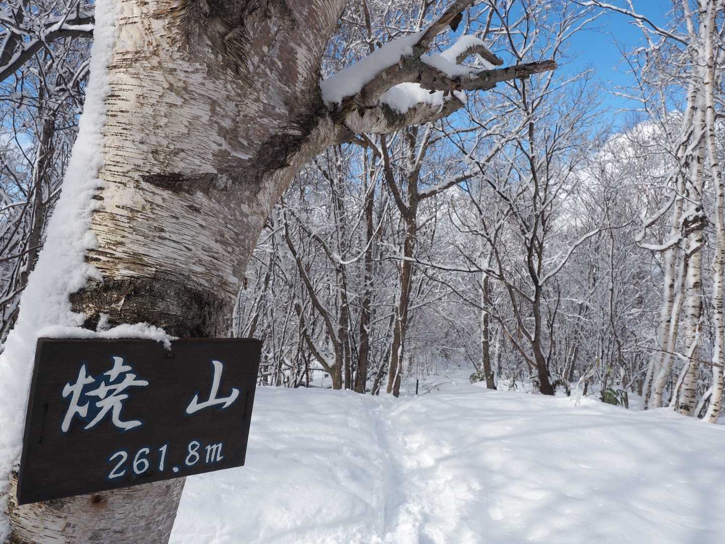 山頂晴れ☀️
無風！