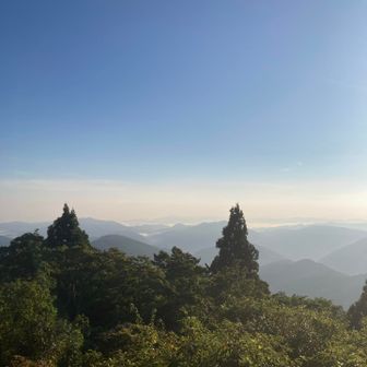 朝一のいい景色
